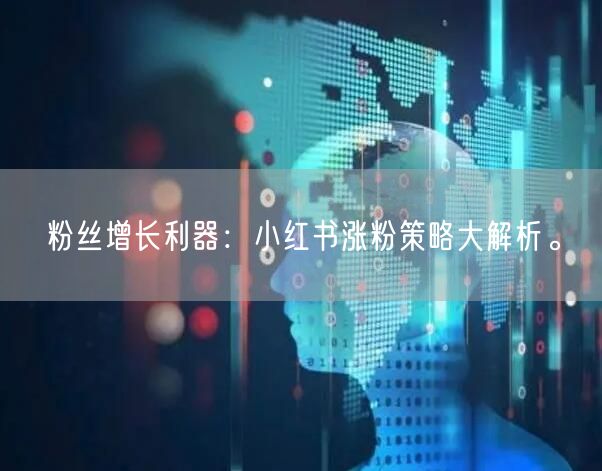 粉丝增长利器:小红书涨粉策略大解析。